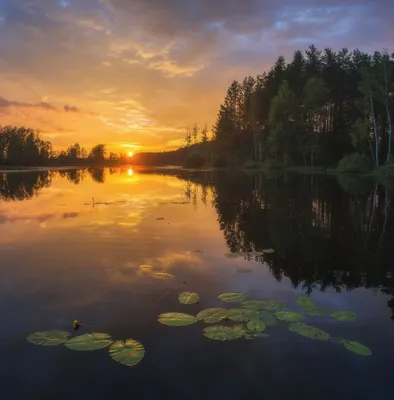 Красочный летний закат. Фотограф Михаил