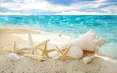 Лето, солнце, море, пляж... | 🐞Russian Miraculers🐞 Amino