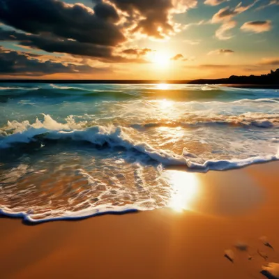 Скачать обои песок, море, пляж, лето, солнце, ракушка, beach, sand, раздел  природа в разрешении 5285x3451
