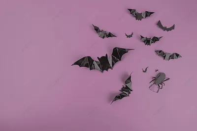 Хэллоуин летучая мышь праздник фиолетовый обои фон И картинка для  бесплатной загрузки - Pngtree
