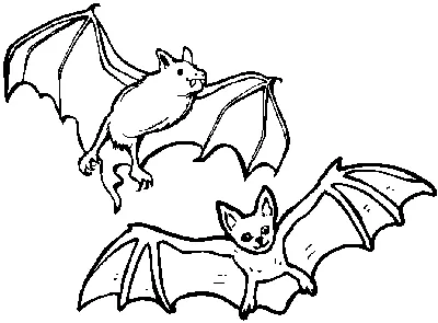 Летучая мышь летает рисунок руки карты хэллоуин мило Иллюстрация штока -  иллюстрации насчитывающей смешно, эскиз: 198509093