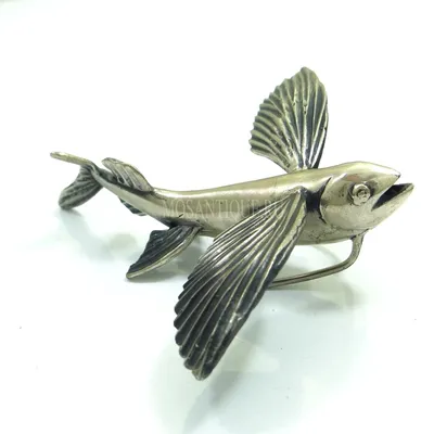 Летучая рыба 3D Модель $55 - .fbx .ma .unknown - Free3D