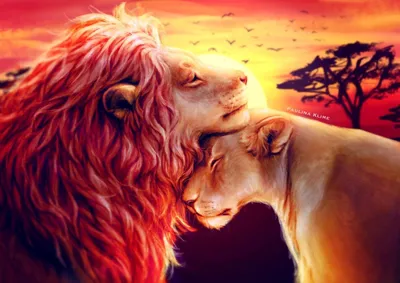 Льва и львицы любовь - картинки и фото koshka.top
