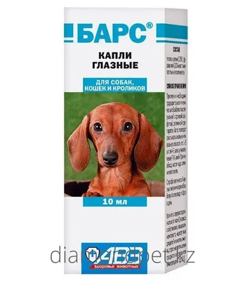 Левомицетин спиртовой 0,25% раствор 25 мл стоимость, отзывы, инструкция,  купить по низкой цене в Украине: Киев, Днепр, Харьков, Одесса, Львов - 1  Социальная Аптека