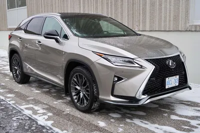 2021 Lexus RX 350 Colors | Lexus of Naperville | Naperville, IL