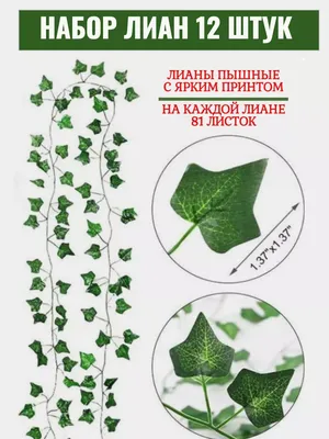 Купить Искусственные лианы. 5 штук. 2,5метра по выгодной цене в  интернет-магазине OZON.ru (798825984)
