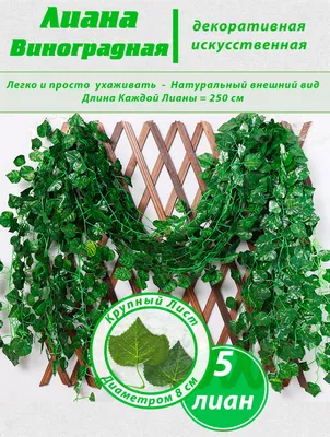 Купить Настенная искусственная лиана 2,1 м - 12 штук, искусственные листья  для декора, декоративные лианы на стену, плющ гирляндой в комнату и на  балкон по выгодной цене в интернет-магазине OZON.ru (1061300271)