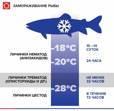 Осторожно при покупке минтая, в рыбе обнаружены личинки червей – ДККБТУ  Нур-Султана