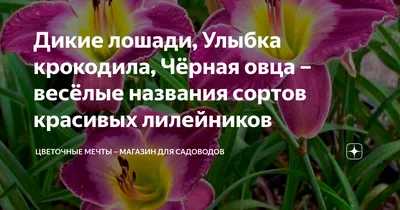 Лилейники посадка и уход в открытом грунте Лилейники фото с названиями  сортов и описанием Размножение лилейников и выращивание из семян