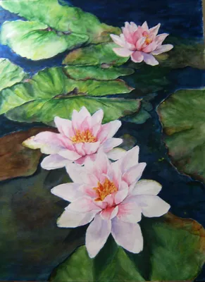 Картина на холсте 3D лилии в воде: - Арт. 020866 | Купить в  интернет-магазине - Уютная стена