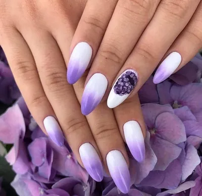 Модный фиолетовый маникюр 2023-2024 года, фото, идеи, новинки, тенденции |  Nail art ombre, Purple nail art, Ombre nail art designs