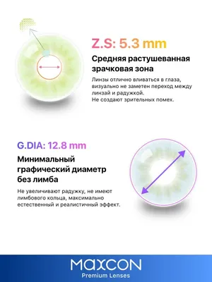 Глаз иллюстрации : нормальная анатомия | e-Anatomy