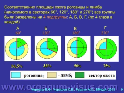 Глаза антикварных кукол