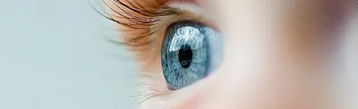 От чего зависит цвет глаз у человека: таблица зависимости. Как наследуется  цвет глаз. Как передается доминантный цвет глаз