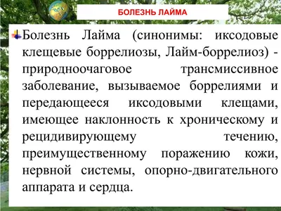 Инфекционные заболевания.Лайм Боррелиоз | Конспекты лекций Инфекционные  болезни | Docsity