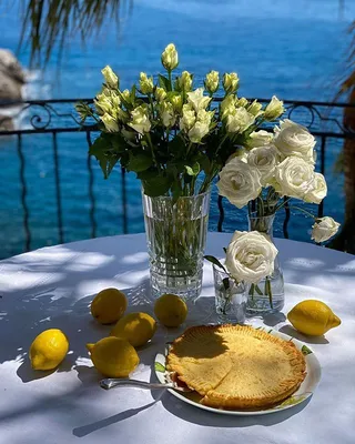Цветы лимонник - 65 фото