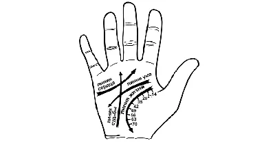 Как читать линии на руке - wikiHow