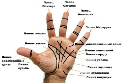 Линия жизни рисунок (49 фото) » Рисунки для срисовки и не только