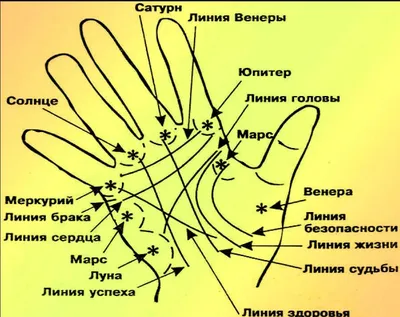 Линия сердца на руке расскажет о вашем характере - интересный тест — УНИАН