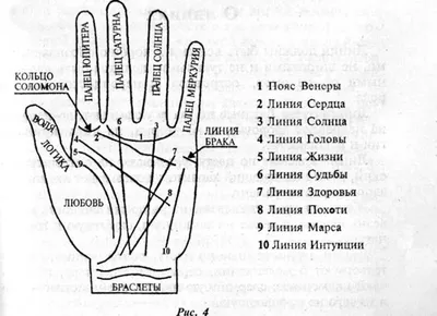 Линия сердца в хиромантии