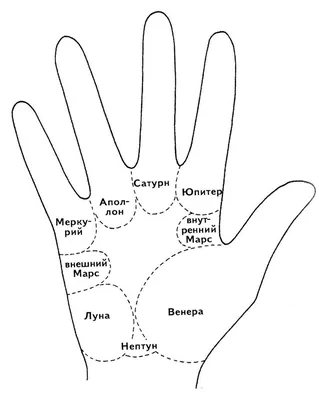 Хиромантия - линии на руке и их значение - Хиромантия - Гороскопы - Hushak