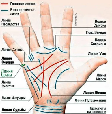 Хиромант объяснила, как предугадать счастливый брак по руке – Москва 24,  29.11.2022