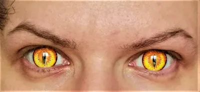 Чем могут быть опасны цветные линзы для глаз - Российская газета