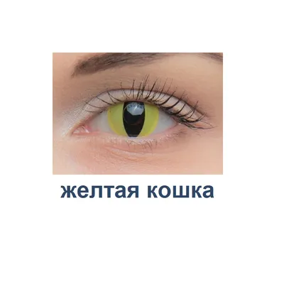 Цветные контактные линзы EYESHARE для косплея для глаз, синие, красные,  косметические контактные линзы для макияжа, косметические цветные линзы для  глаз | AliExpress