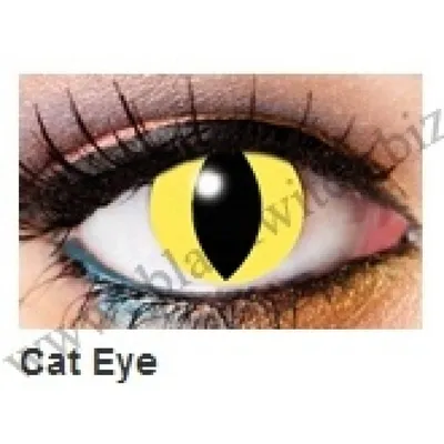 Голубые линзы кошачий глаз. Кошачий глаз. Линзы кошачий глаз. Голубые линзы.  Яркие голубые линзы. Цветные линз (ID#1293180239), цена: 300 ₴, купить на  Prom.ua
