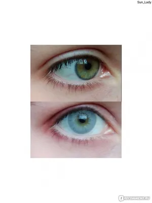 Контактные линзы цветные Alba Colors Choose Your Own Eye Color - «С этими  линзами я превратилась в привидение👻👻👻 Разбор оттенка Pearl💎💎💎 Смогут  ли серо-голубые линзы перекрыть зелёный цвет глаз?⬇️⬇️⬇️» | отзывы