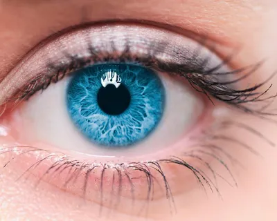 🏆 В 2022 году мягкие контактные цветные линзы OKVision FUSION заняли  лидирующие позиции в рейтингах “ВЫБОР ЭКСПЕРТОВ”.. | ВКонтакте
