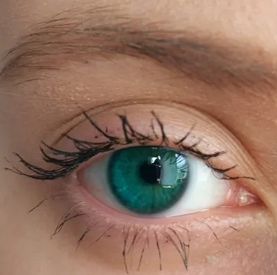 Jurello Цветные линзы для глаз контактные зеленые