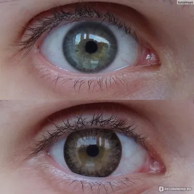 Контактные линзы цветные, увеличивающие глаза Eyes Cream Vanilla Brown -  «Новые цветные линзы ♥» | отзывы