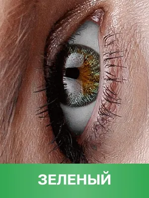 Зеленые цветные контактные линзы для глаз, отличное перекрытие своего цвета  + контейнер для хранения. — цена 485 грн в каталоге Линзы ✓ Купить товары  для красоты и здоровья по доступной цене на Шафе | Украина #142131054