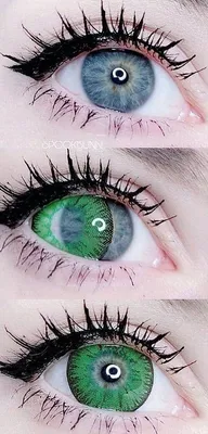 Цветные контактные линзы Lermo Vika tricolor green зелёного цвета с  диоптриями для зрения от - 1 до - 7 (ID#1907806873), цена: 399 ₴, купить на  Prom.ua