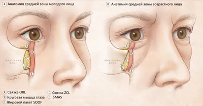 Липолитик FAT Normalize | TG Clinic Северск