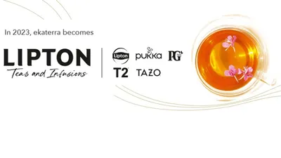 Lipton HI Digestion Tea Facil 20ct – Seabra Foods Online