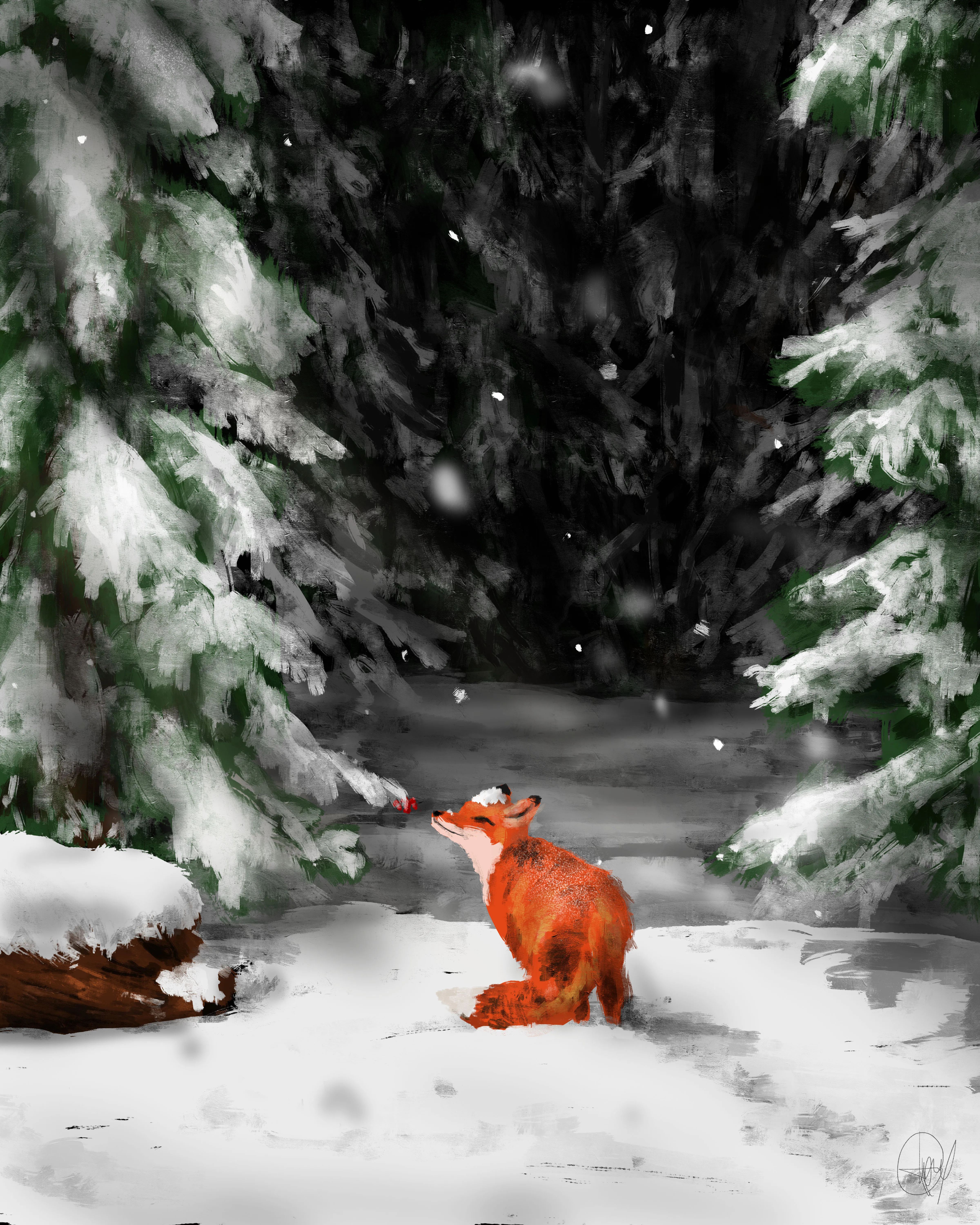 Serenity fox. Звери в лесу. Сказочный лес зимой. Сказочный новогодний лес. Лиса зимой в лесу.