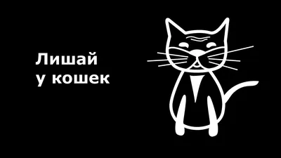 Грибок кожи: диагностика, лечение, препараты и мази