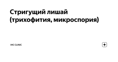 Островецкий район лидирует в области по заболеваемости микроспорией