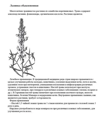 Лечение лишая на коже: Рейтинг мазей от лишая