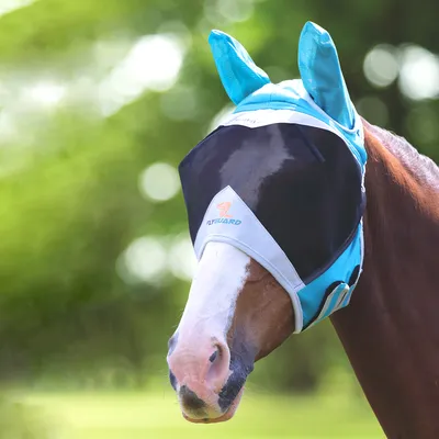 Минсельхоз утвердил новые ветправила по ринопневмонии лошадей | Ветеринария  и жизнь