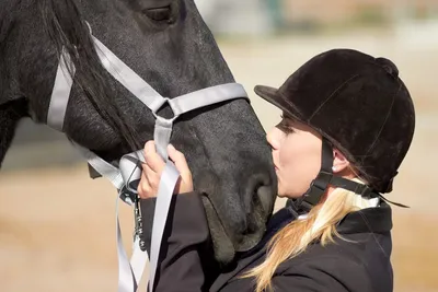 Что такое вирус герпеса EHV-1 лошадей? | ESU Horses