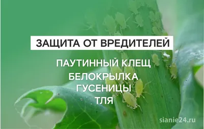 Регуляция численности листогрызущих вредителей в агроценозах Приморья –  тема научной статьи по биологическим наукам читайте бесплатно текст  научно-исследовательской работы в электронной библиотеке КиберЛенинка