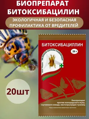 Вредителя легко определить по тем следам, которые он оставляет после себя