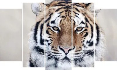 как сделать лицо тигра из бумаги - YouTube