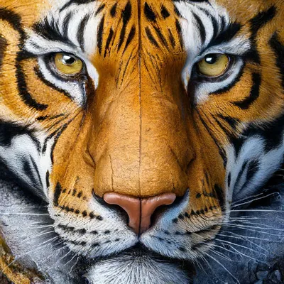 Лицо Тигра на фоне острова» — создано в Шедевруме