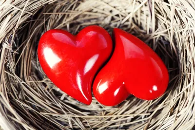 Фоторамка Любящие сердца (на 2 фото) - купить с доставкой в «Подарках от  Михалыча» (арт. AT572337)