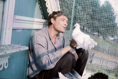Мост из фильма «Любовь и голуби» в Карелии разваливается