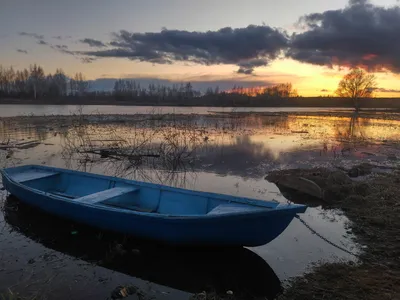 Влюбленная пара у моря на закате | Обои для телефона